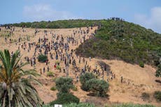 Fuerzas de seguridad marroquíes arrestan a casi 300 migrantes que trataban de llegar a Ceuta, España