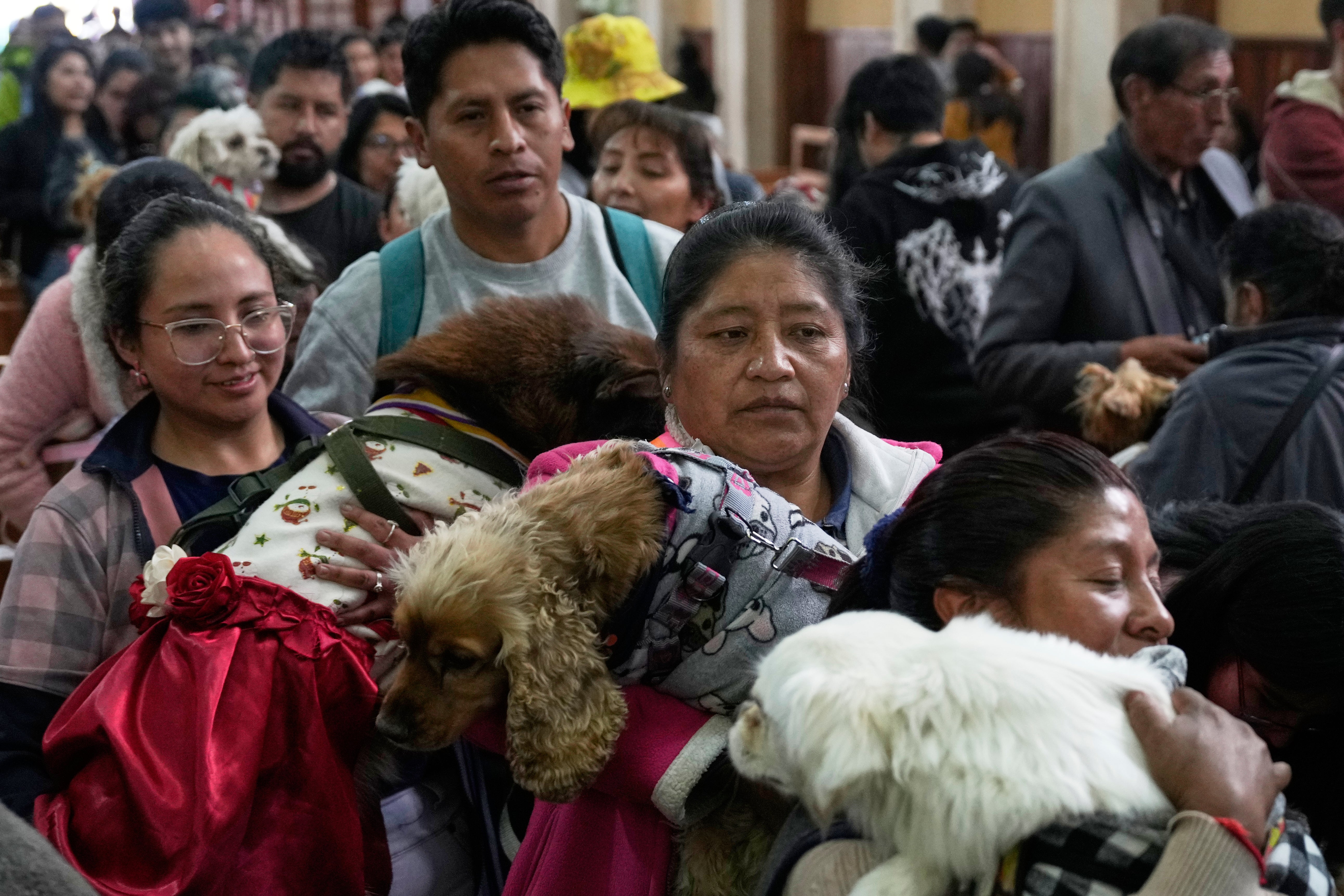 BOLIVIA-DÍA DE LOS PERROS