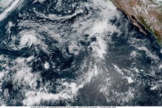 Ardua labor de limpieza en Hawai tras paso de huracán Lala