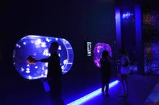 Abre en Florida un museo de medusas, un espacio dedicado solo a estos hipnóticos depredadores