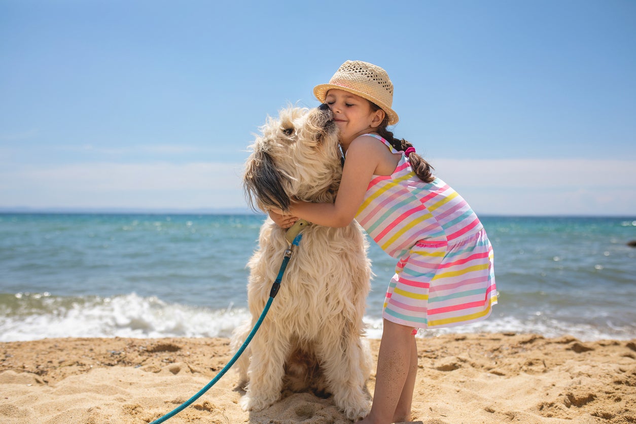 El apego es el vínculo emocional que se establece entre un niño durante su desarrollo y la persona que lo cuida, y que le proporciona seguridad, protección y consuelo