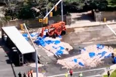Volcadura de un camión deja cientos de calamares derramados en una calle de Rhode Island
