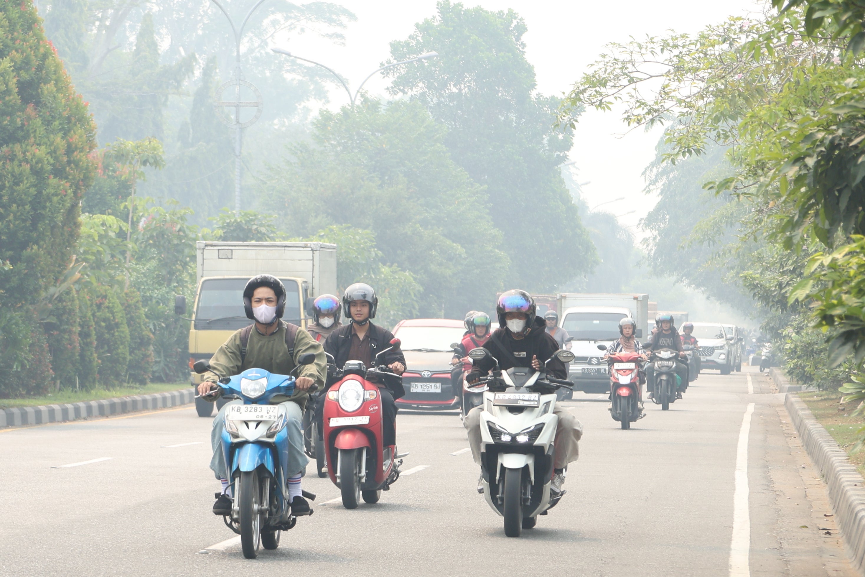 INDONESIA NEBLINA