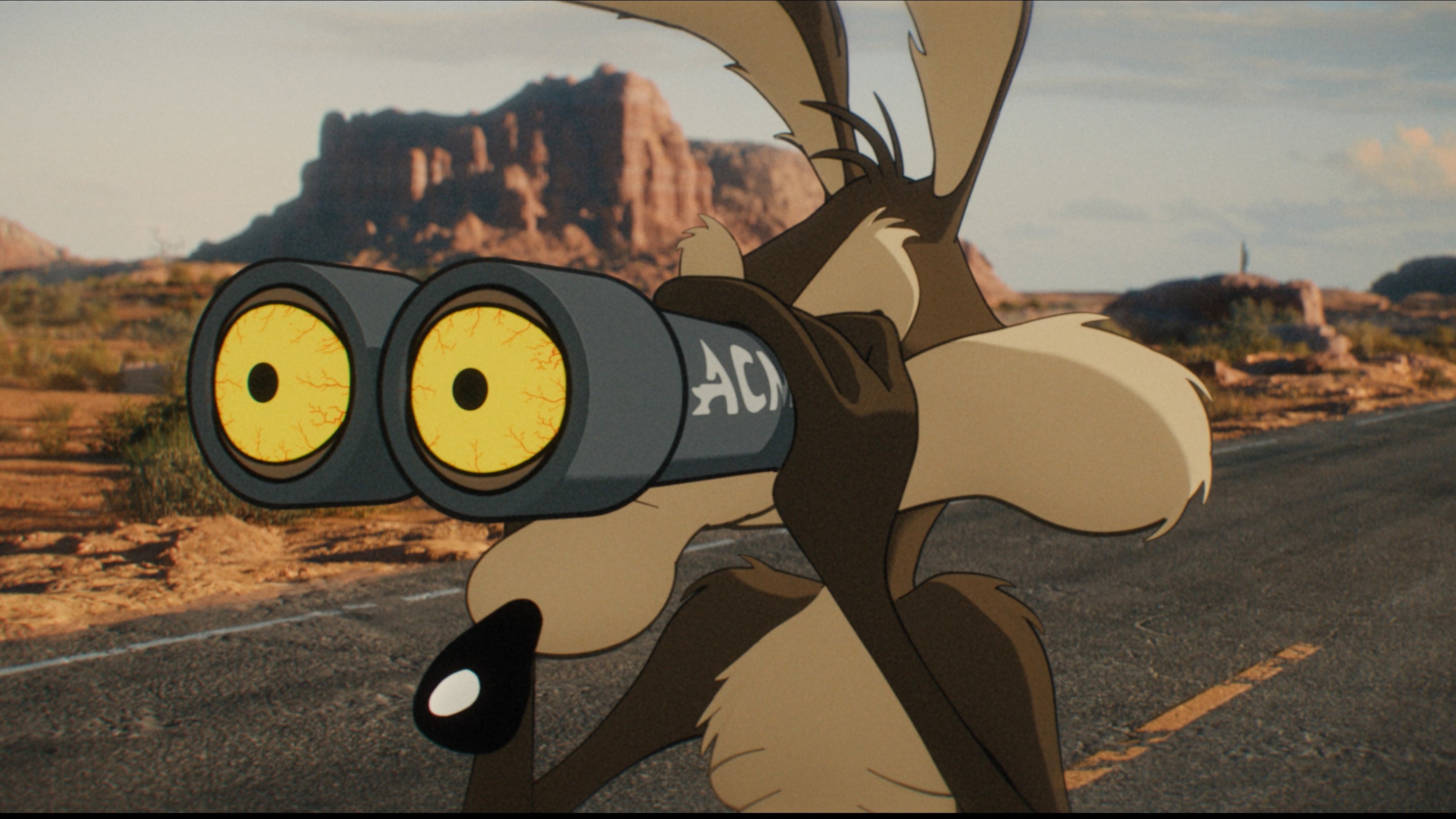 COYOTE VS. ACME