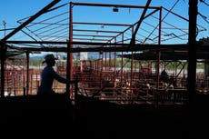 México reanuda venta de ganado a EEUU bajo fuerte control y riesgo de la plaga del gusano barrenador