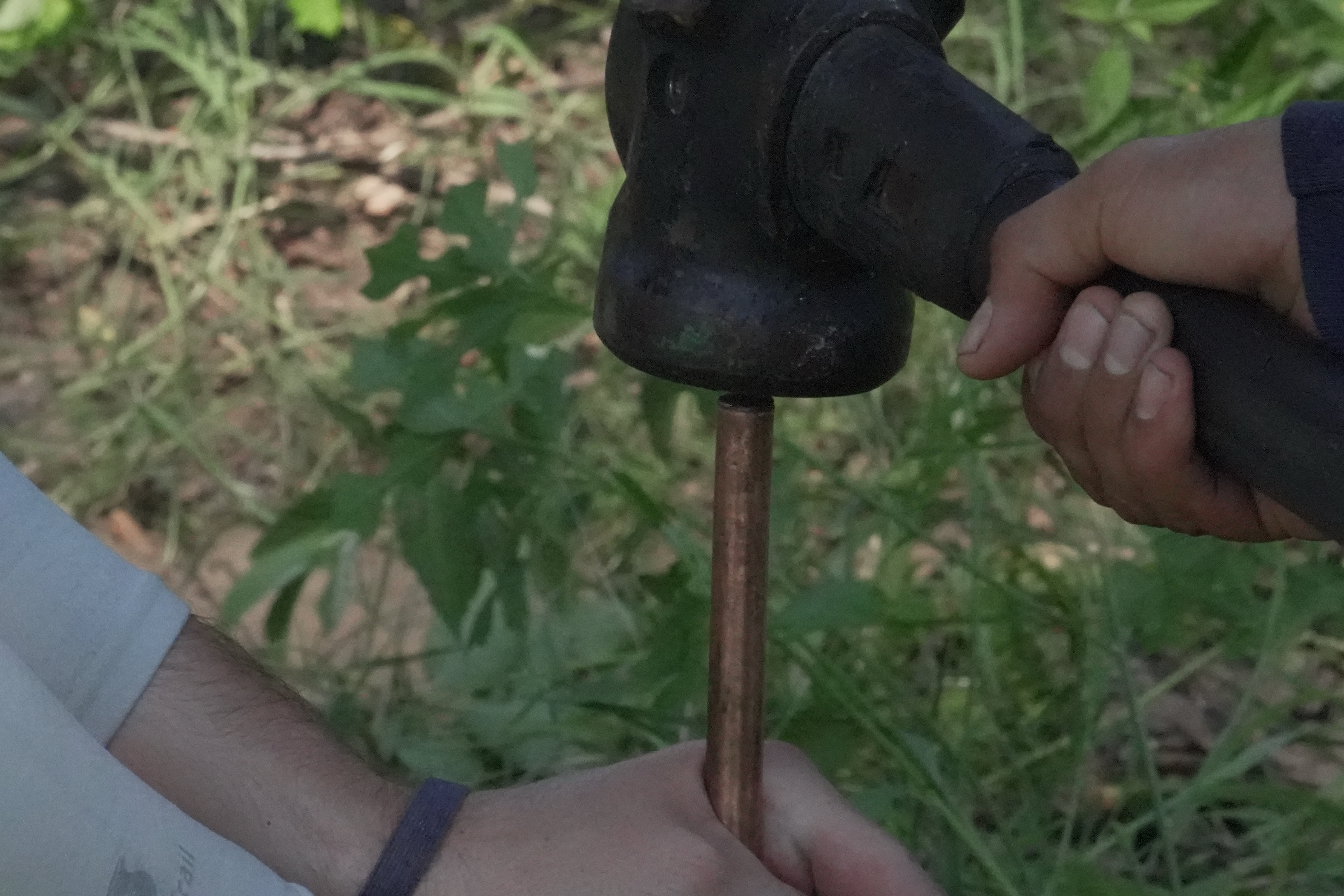 Jake Love, a la izquierda, y Bryce Whitney, de SavATree, colocan una varilla de cobre en el suelo junto al árbol para protegerlo de los rayos