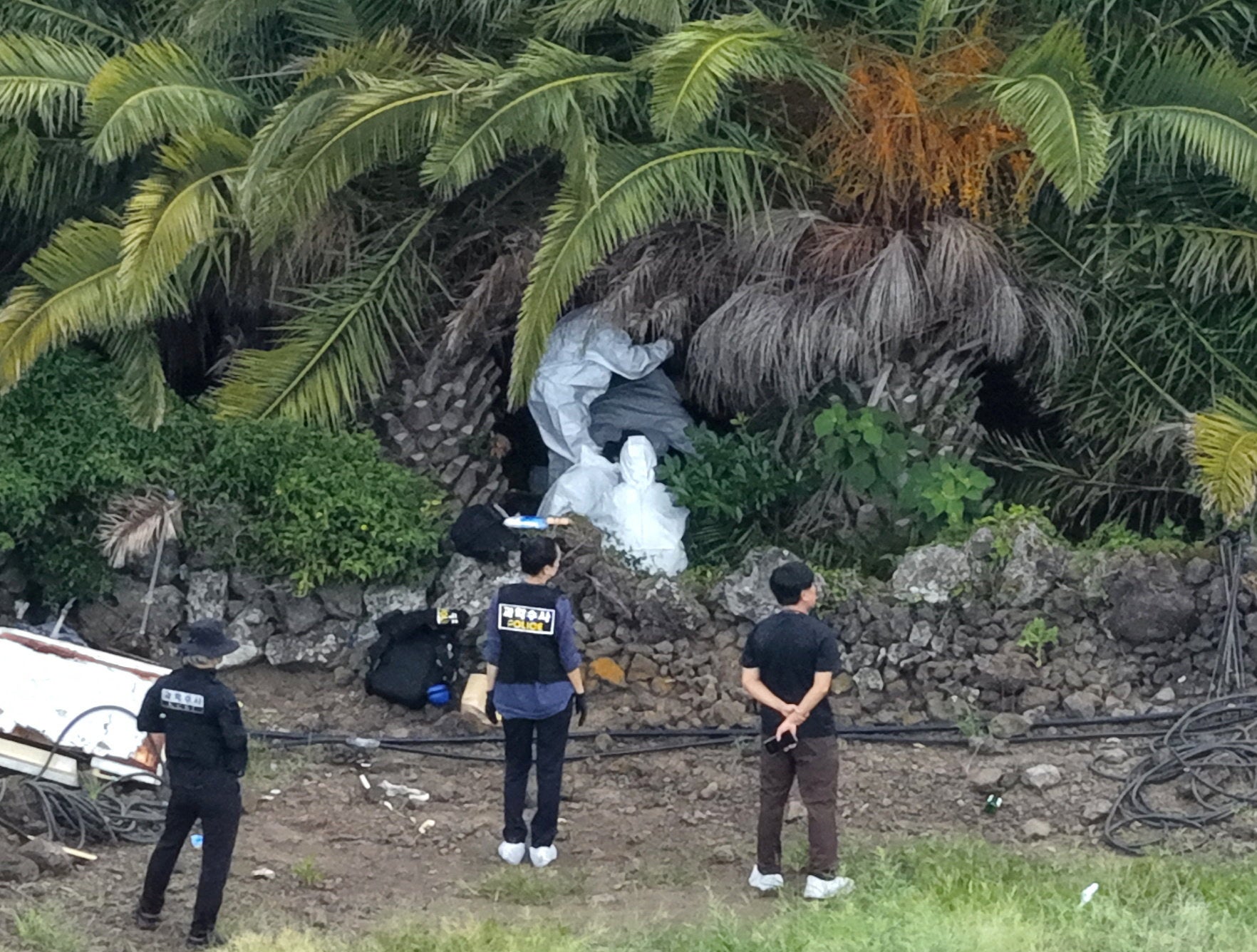 Agentes de policía inspeccionan el lugar donde fue hallado el cuerpo de Jang Mi-ran en una plantación de palmeras de la isla de Jeju, Corea del Sur