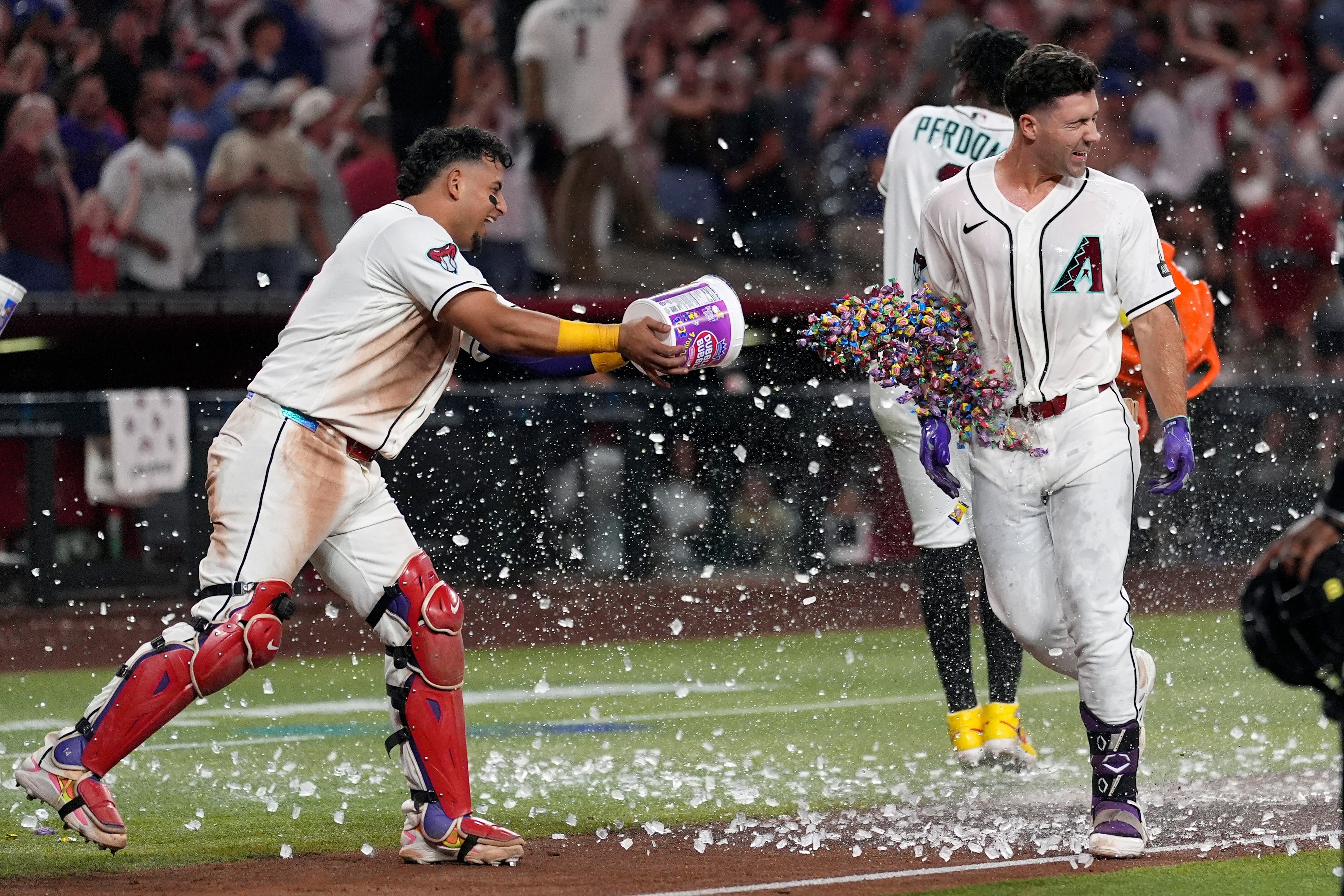 CACHORROS-DIAMONDBACKS