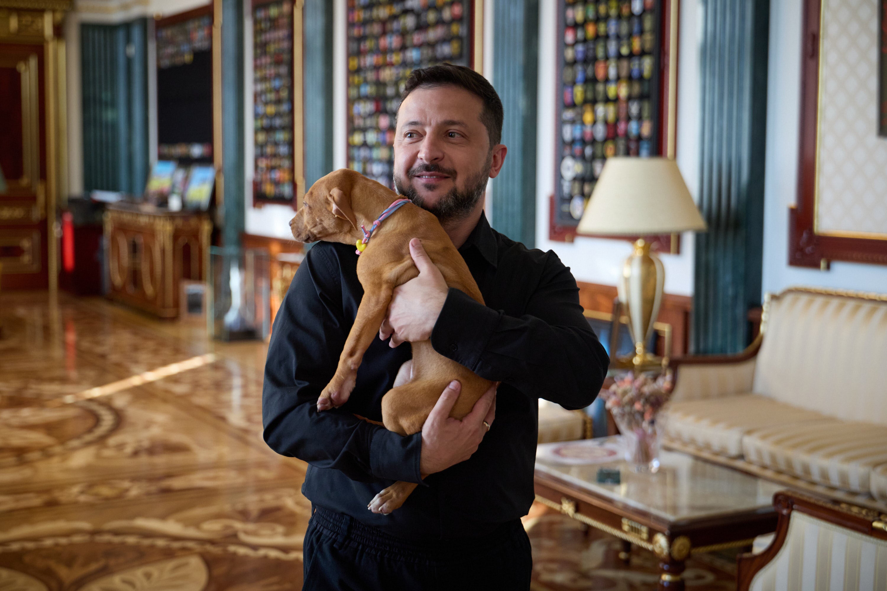 Presidente de Ucrania arrulla un cachorro y abre otra batalla visual contra Rusia