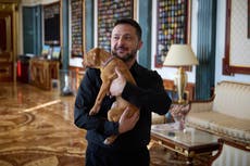 Presidente de Ucrania arrulla un cachorro y abre otra batalla visual contra Rusia