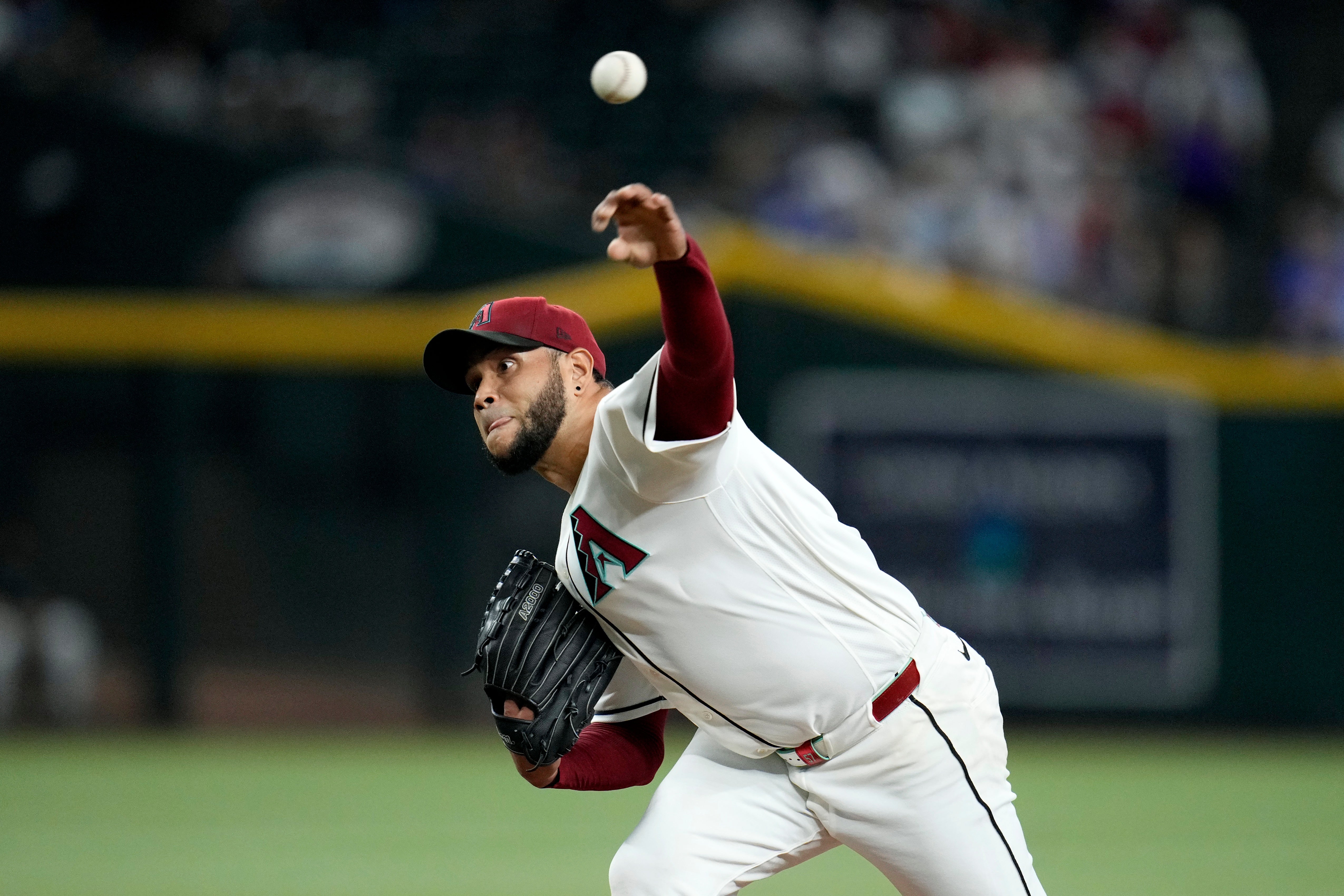 CACHORROS-DIAMONDBACKS