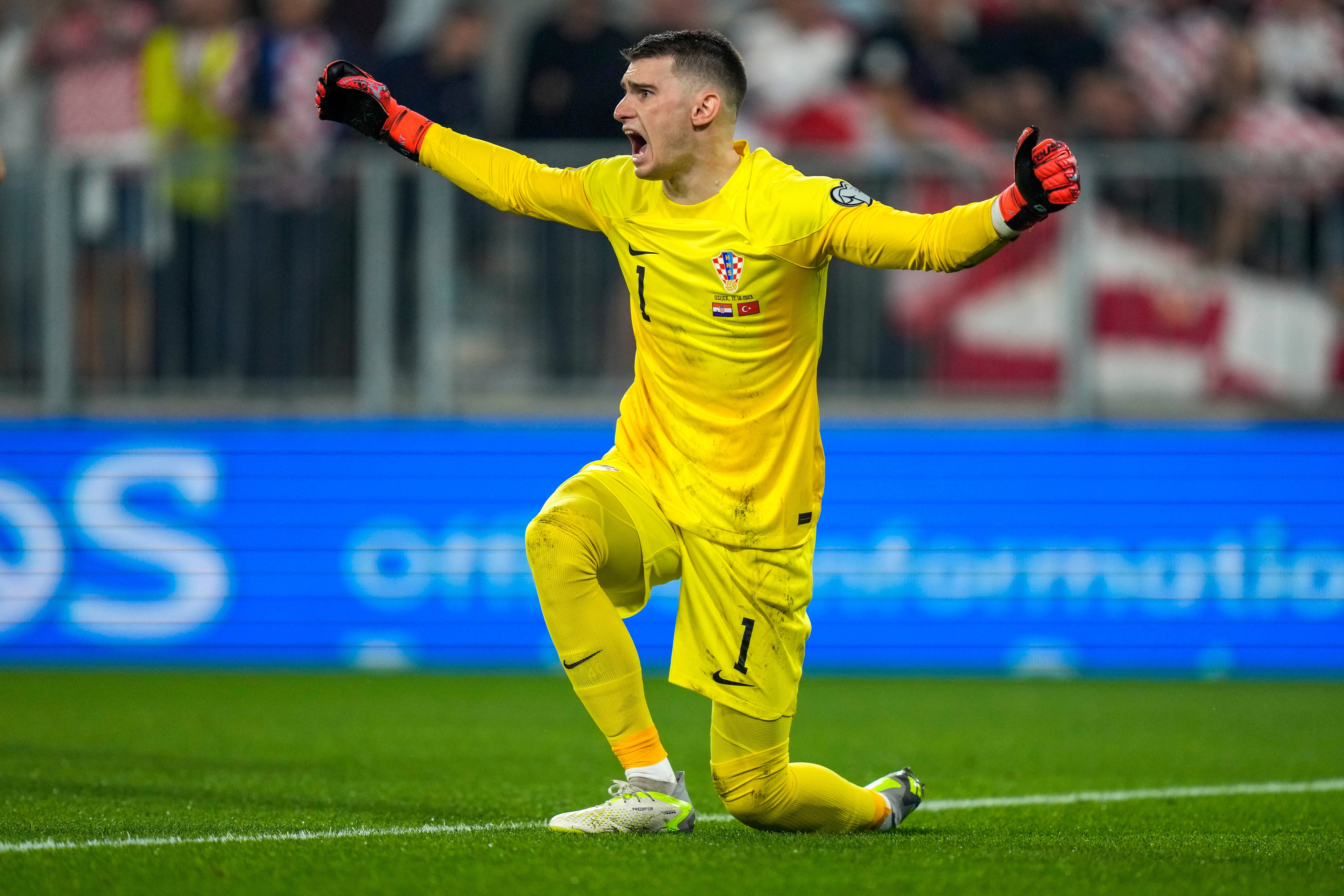 DOMINIK LIVAKOVIC