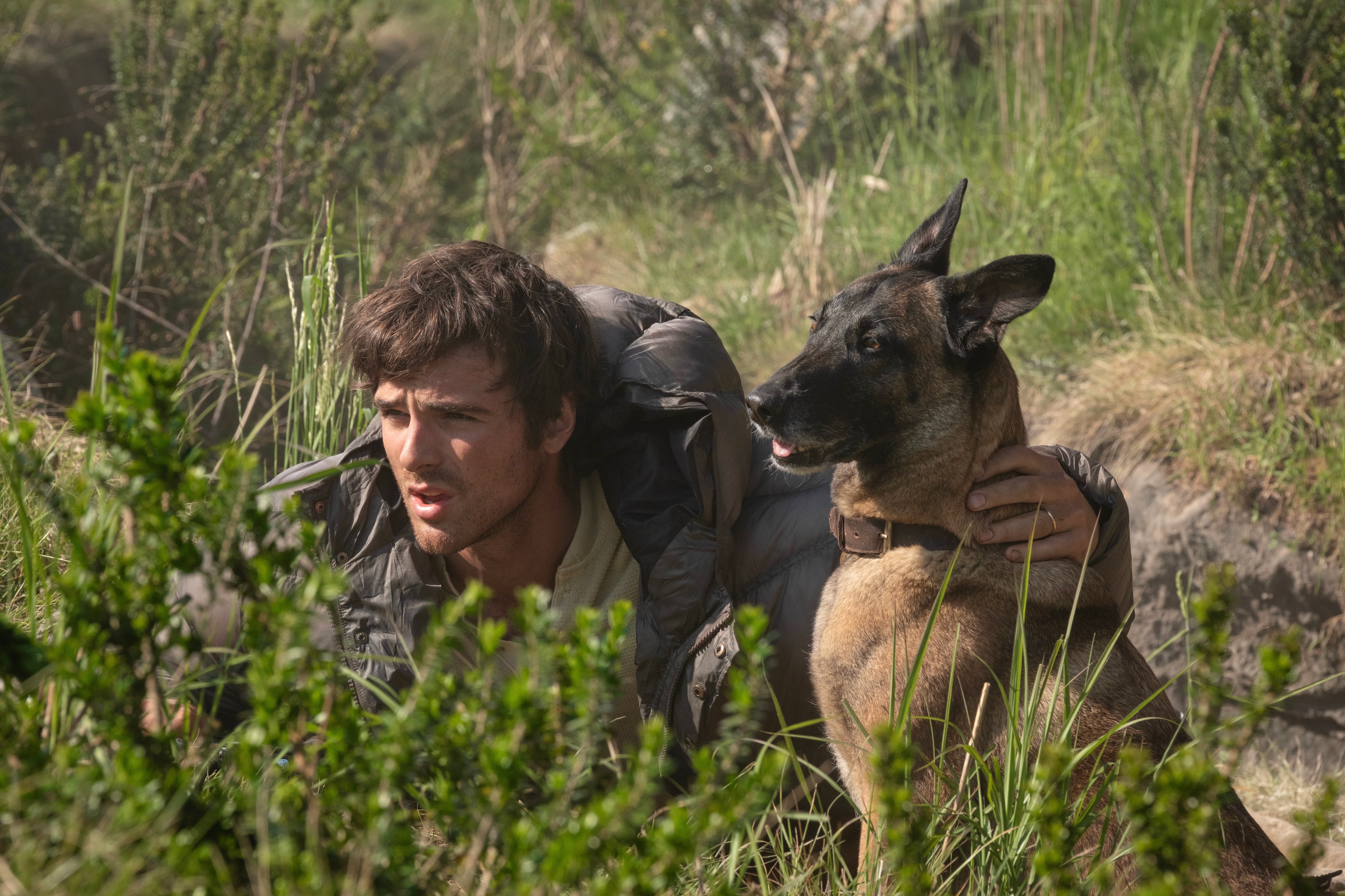 RESEÑA-THE DOG STARS