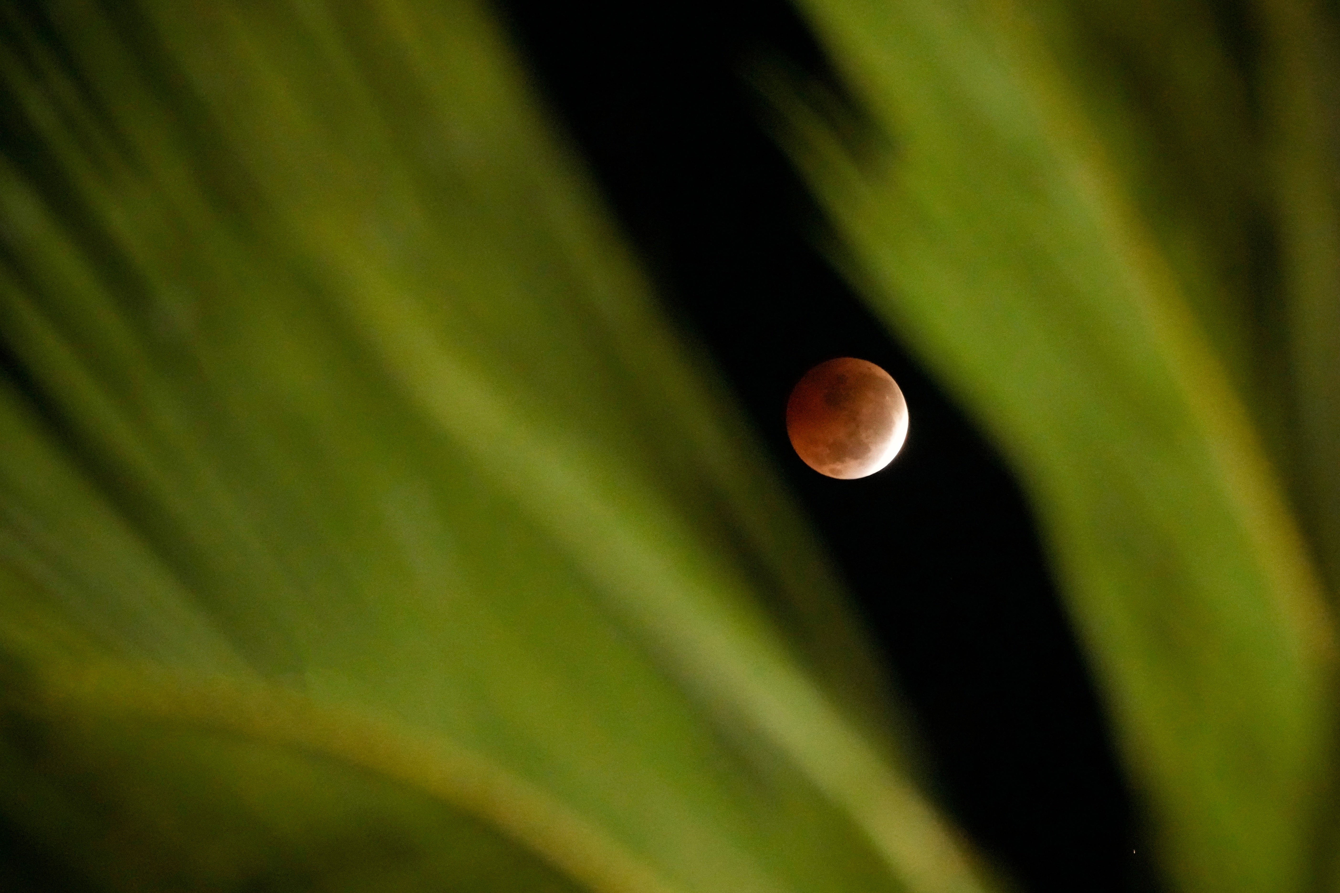 REP-CIE ECLIPSE LUNAR-FOTOGALERIA