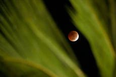 Un eclipse lunar ilumina los cielos de América y Europa, en fotos