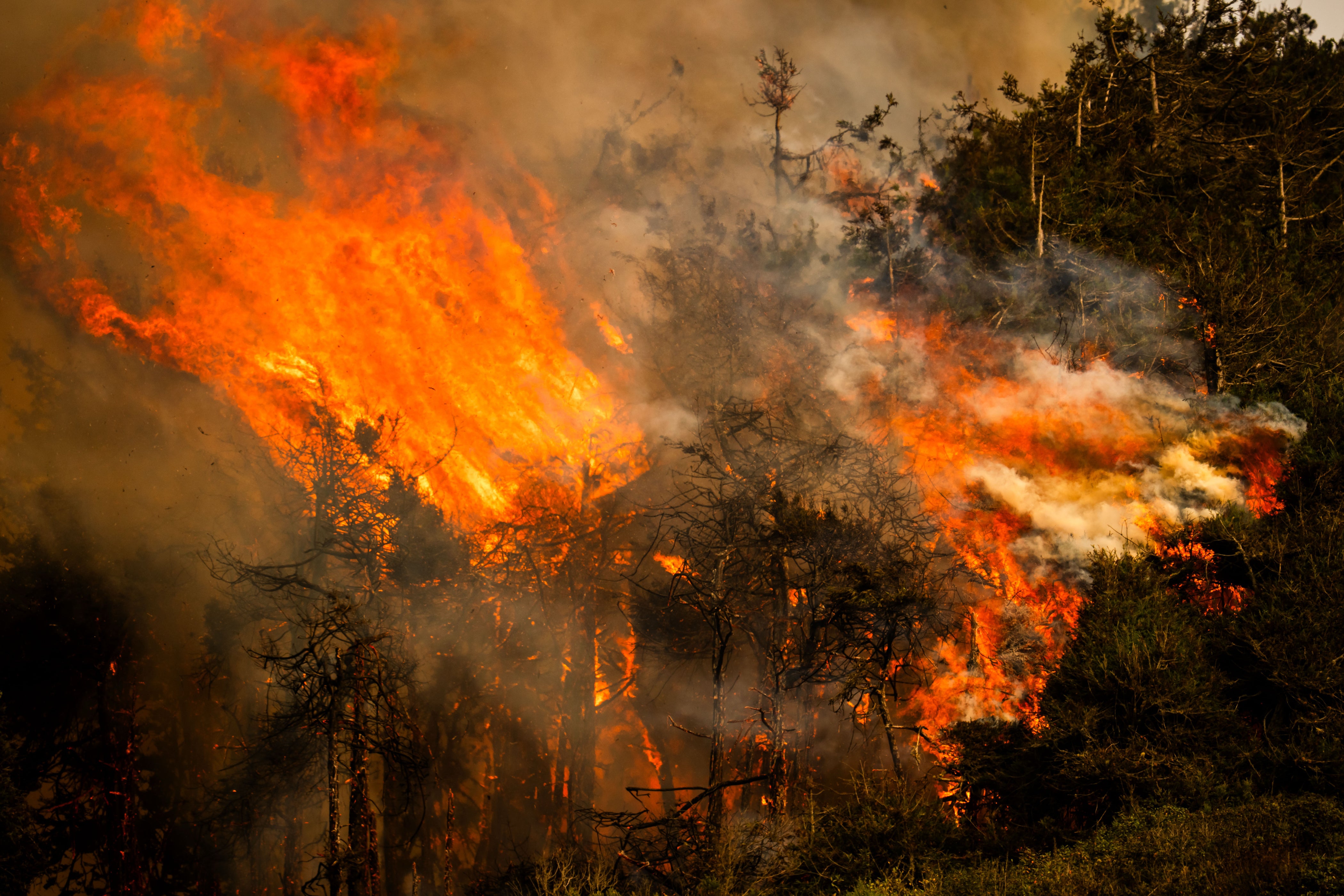 REP-CLI CALIFORNIA-INCENDIOS-FOTOGALERIA