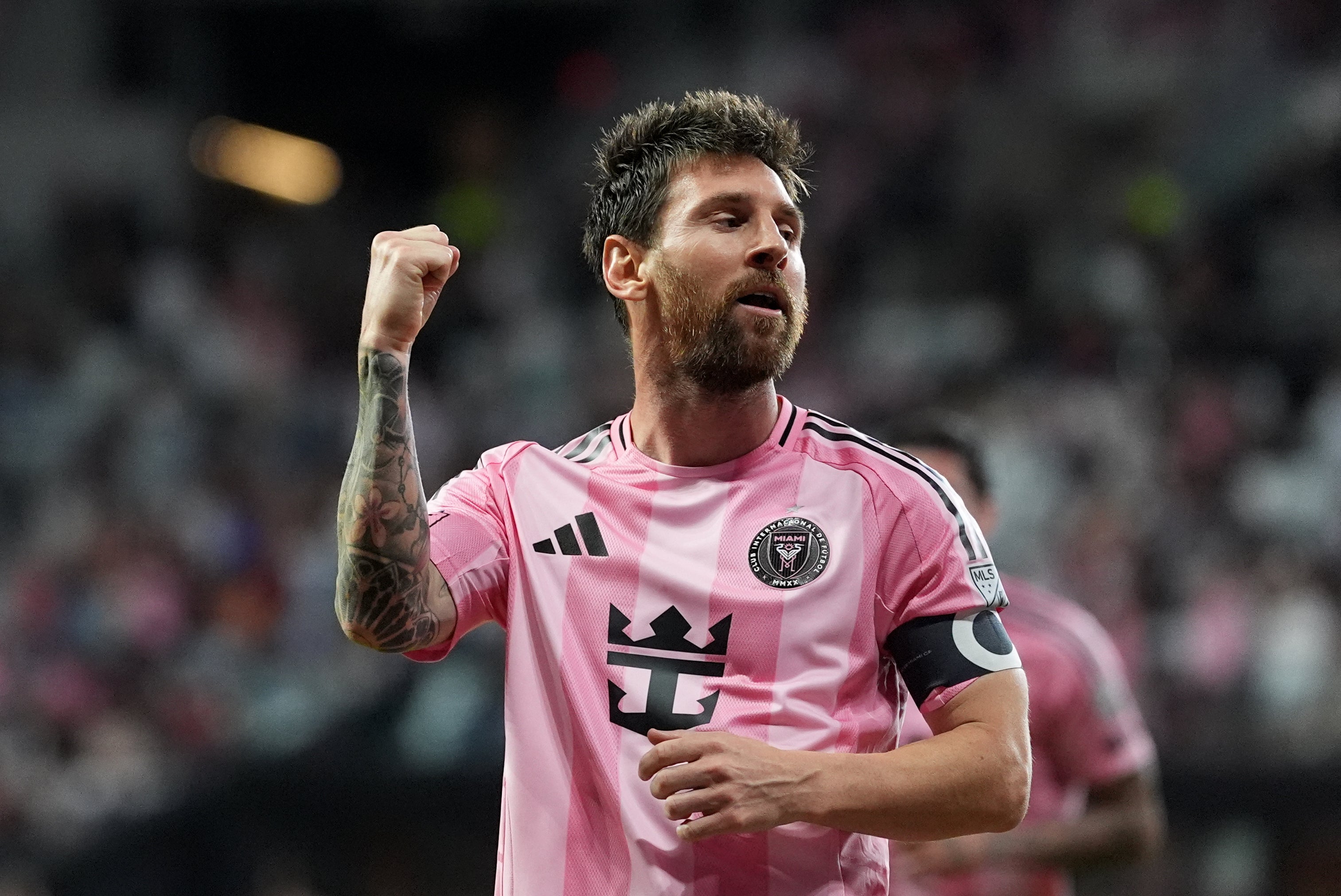 MLS-RESUMEN