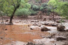 Hallan un cuerpo y buscan a 15 desaparecidos tras inundaciones en el Gran Cañón