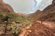 Decenas de personas son evacuadas del Gran Cañón tras inundación repentina en arroyo