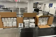 La droga khat está siendo introducida cada vez más en EE. UU. ¿Qué efectos tiene?
