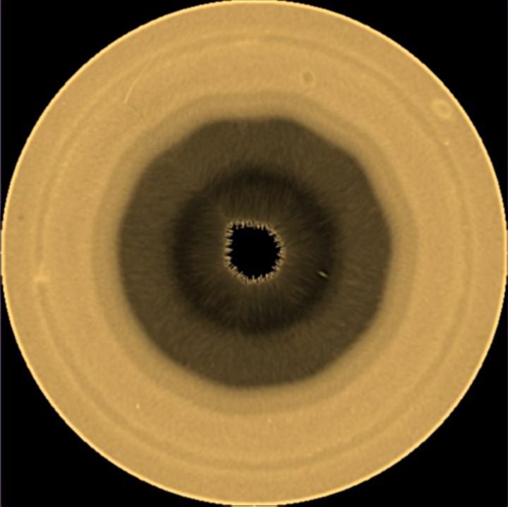 SATURNO