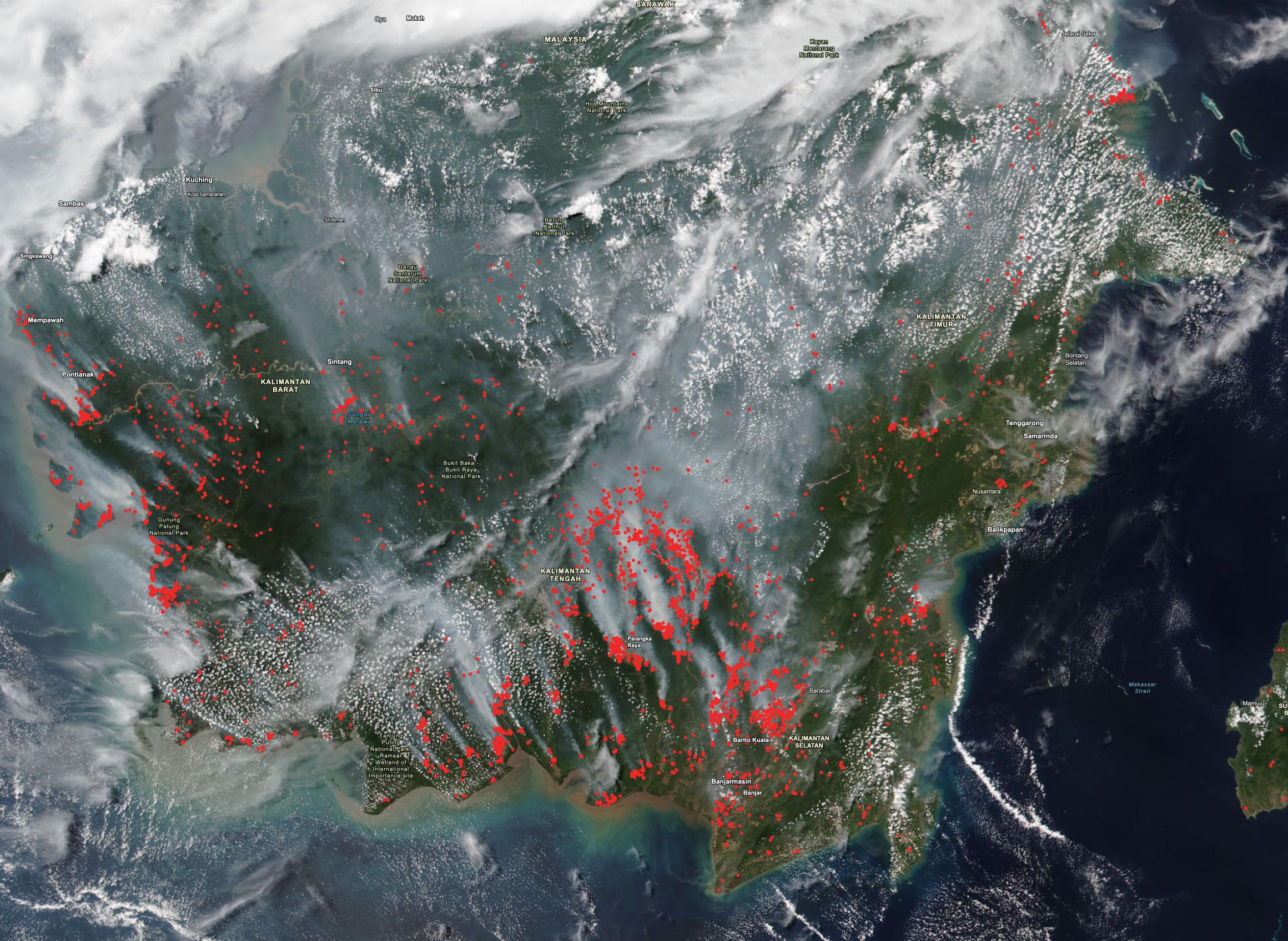Los puntos rojos muestran los incendios activos en la región, hábitat natural de los orangutanes de Borneo