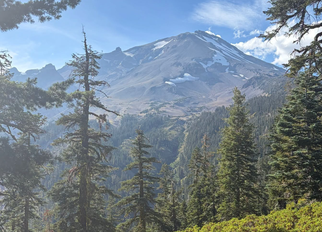 La Oficina del Sheriff del condado de Siskiyou informó que rescató el lunes a tres excursionistas que utilizaron Gemini, la inteligencia artificial de Google, para planificar su ascenso al monte Shasta