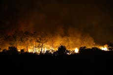 Bombero voluntario muere en Turquía mientras luchaba contra un incendio