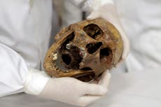 Suiza publica expediente sobre el criminal nazi Mengele, el "Ángel de la muerte"