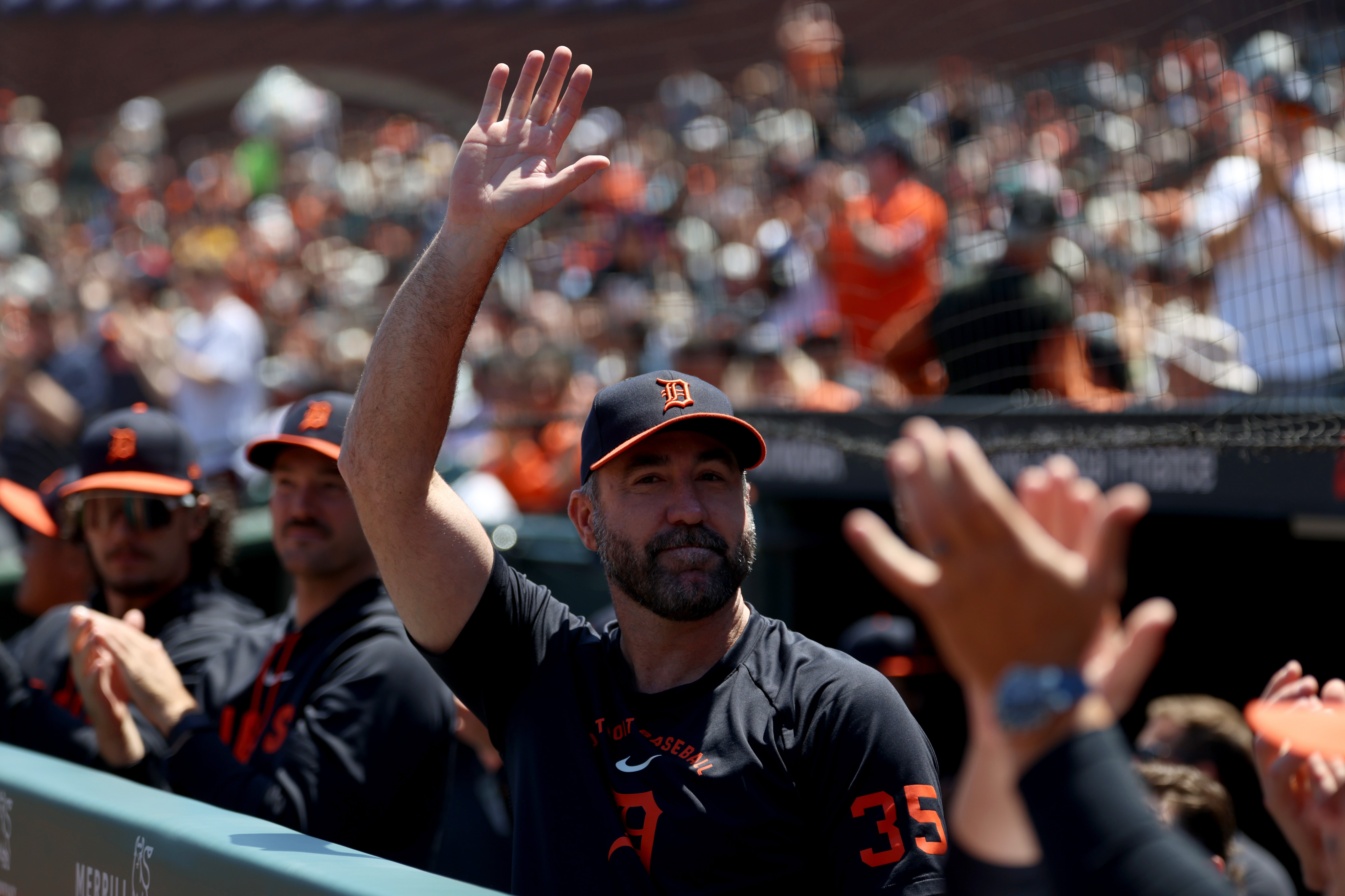 TIGRES-VERLANDER