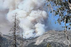 Helicóptero de bomberos se estrella cerca de Yosemite; mueren sus 2 pilotos