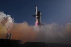Juez no bloqueará canje de tierras que otorga a SpaceX varias hectáreas de refugio de vida silvestre