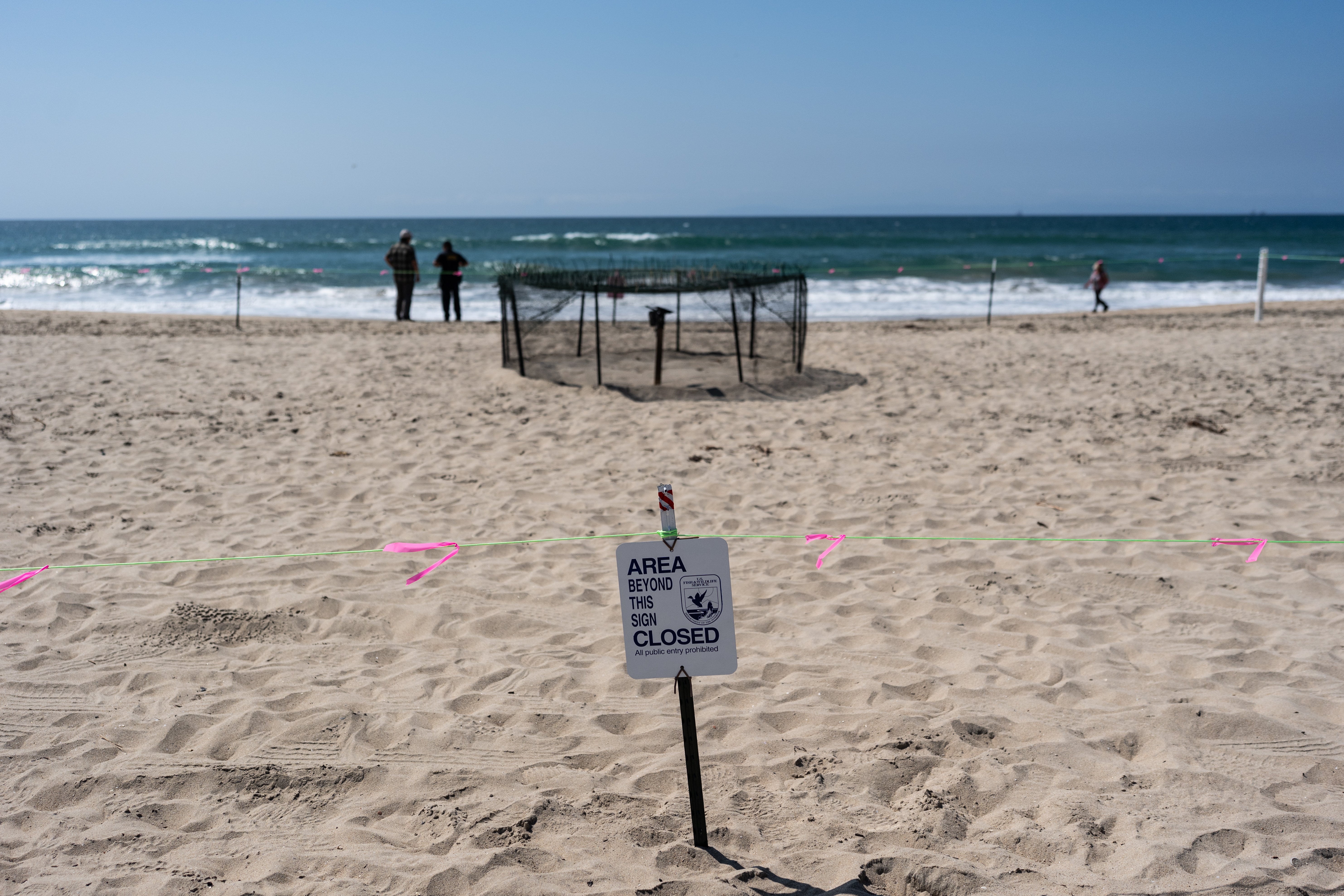 CALIFORNIA-TORTUGAS