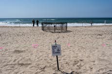 NOAA dice que nidos de tortuga marina en California son una novedad en la costa oeste de EEUU