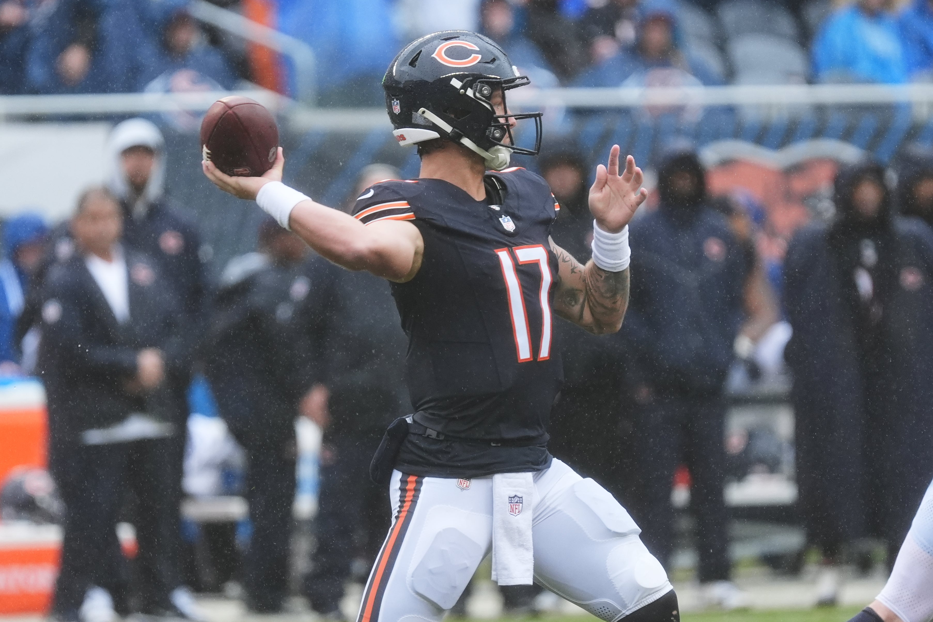 VIKINGS-BEARS