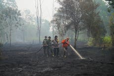 Un estudio proyecta hasta 451.000 muertes más debido al calor causado por El Niño