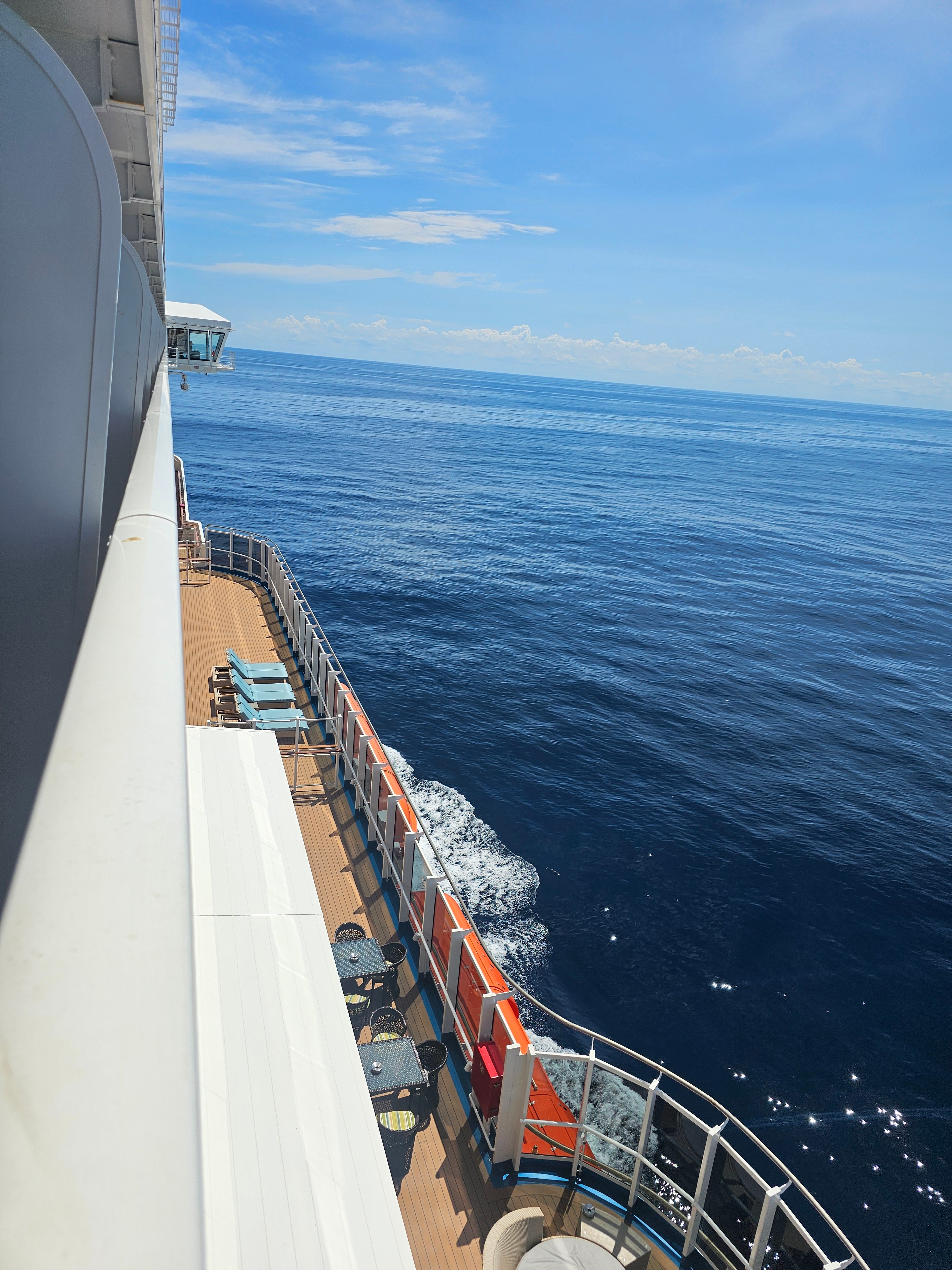 El Carnival Panorama realizaba un crucero de siete días cuando uno de sus pasajeros cayó por la borda