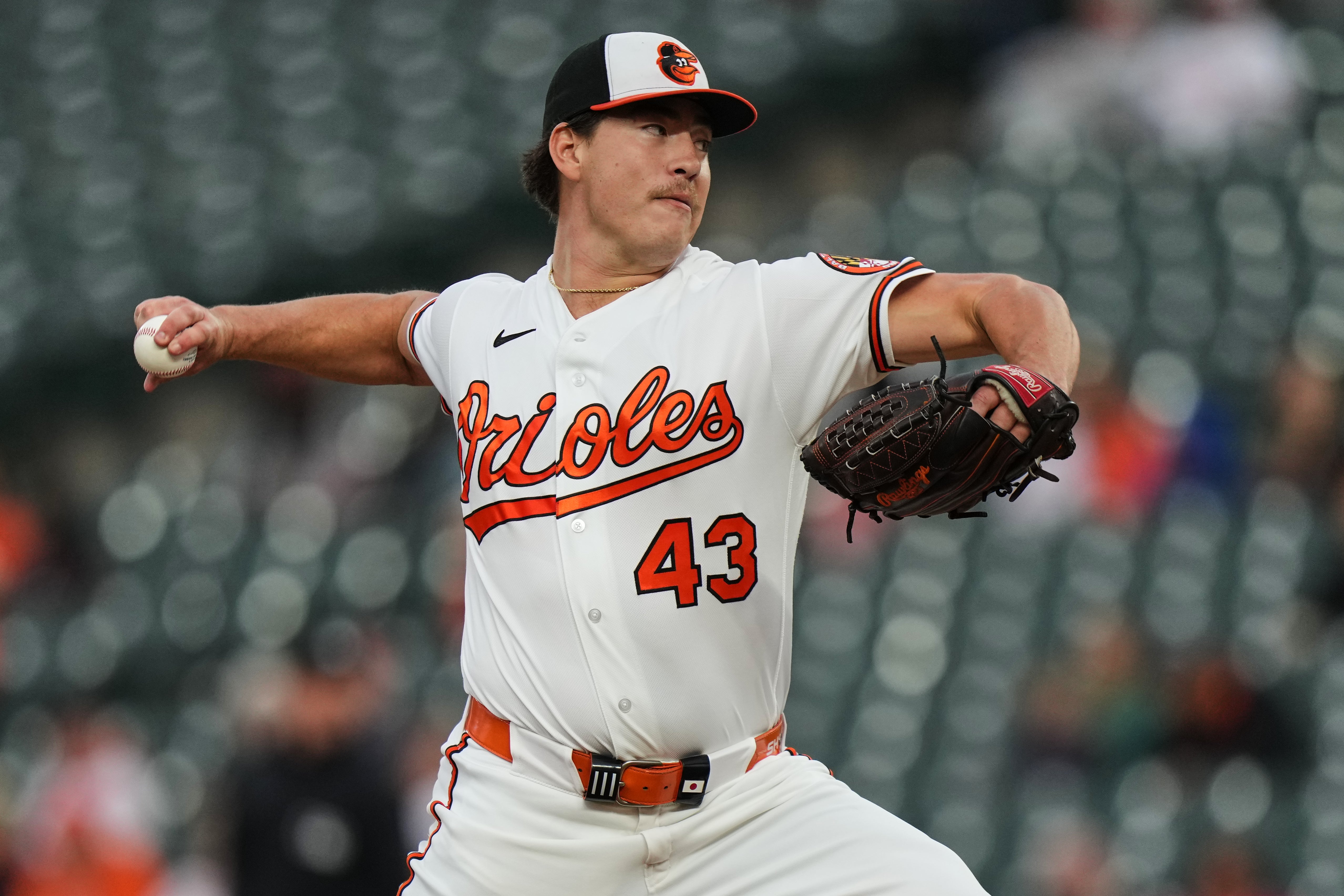 AZULEJOS-ORIOLES