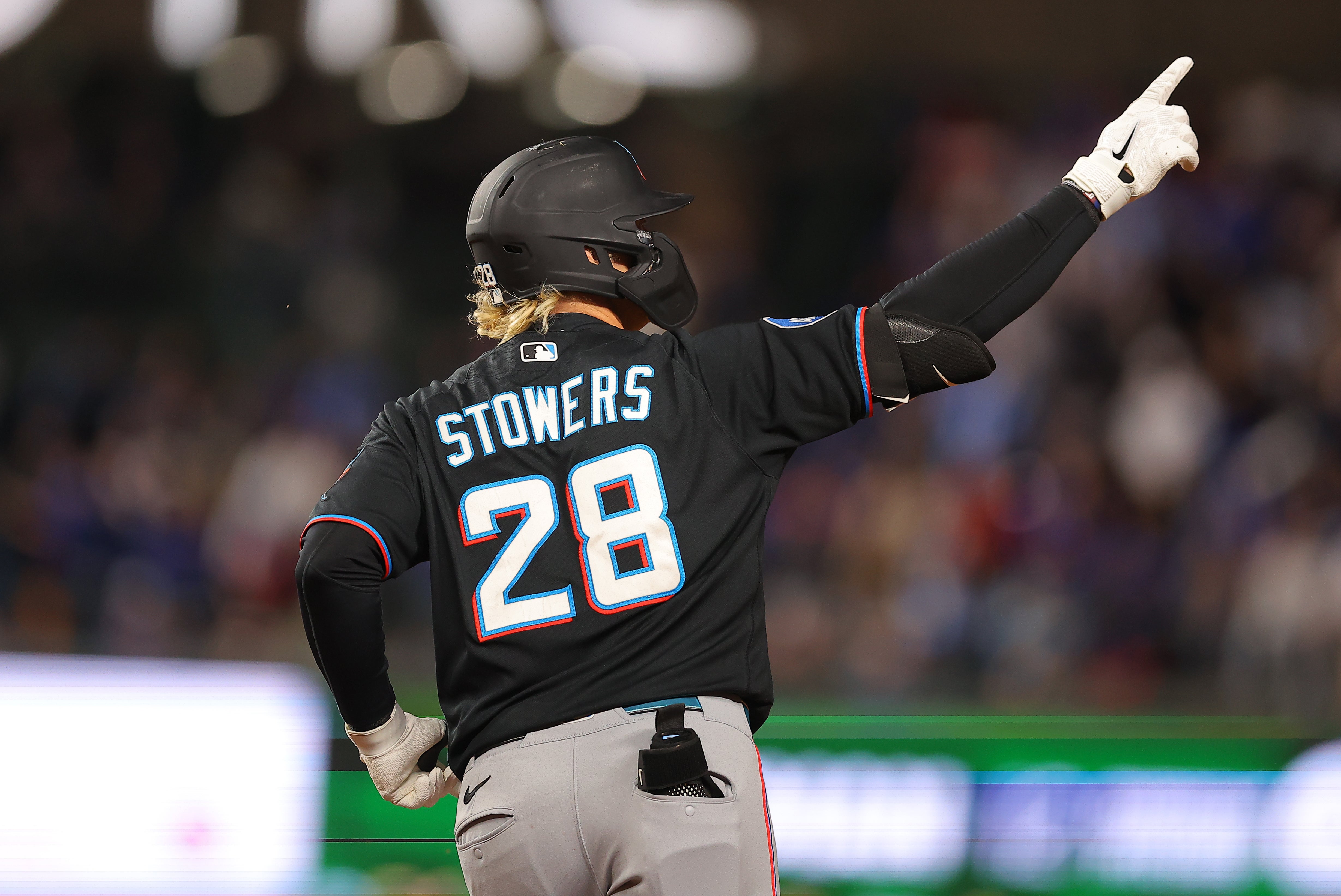 MARLINS-CACHORROS