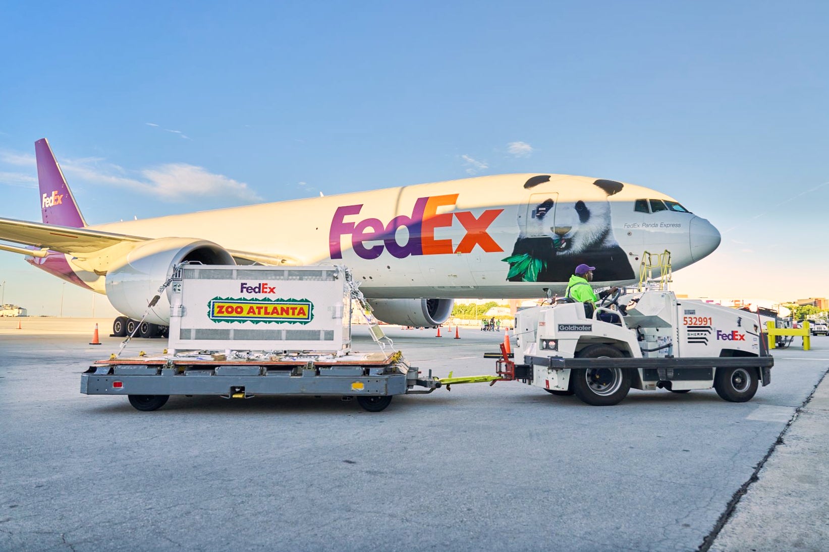Los dos osos viajaron en el avión ”Panda Express” de FedEx