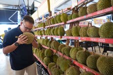 La apuesta de Malasia para que su fétido durián sea el más codiciado
