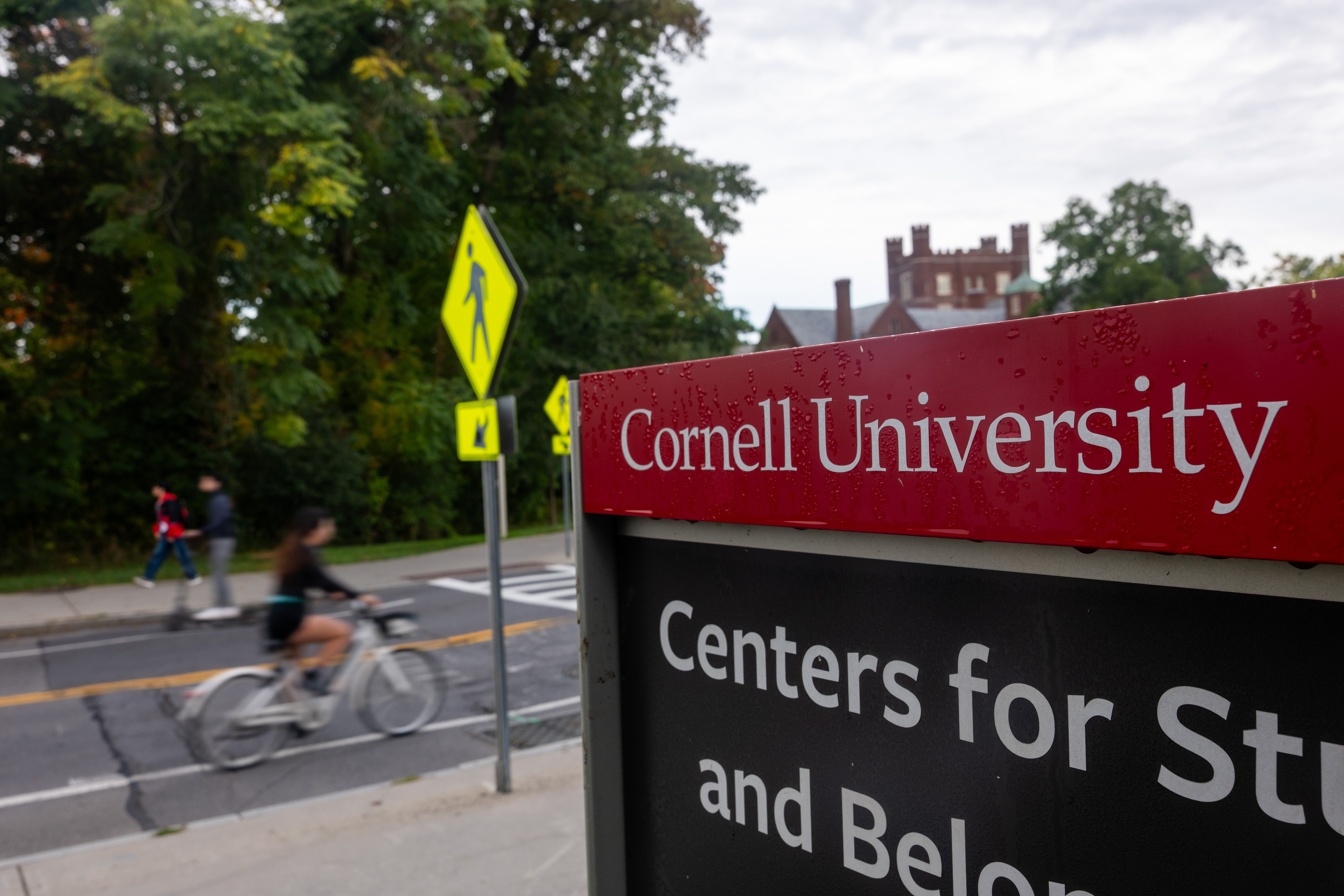 La Universidad de Cornell afirmó que su departamento de policía entregó todo el material de la investigación a la fiscalía del distrito, pero el fiscal del distrito del condado de Tompkins, Matthew Van Houten, sostiene que nunca recibió la transcripción de la entrevista antes de decidir no presentar cargos