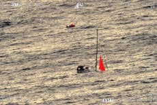 Un grupo de ocho cachalotes hunde un yate tras embestir una embarcación