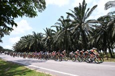 El ciclista francés Ronan Augé sale del coma inducido tras terrible accidente