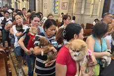Acuden a iglesia en Filipinas para ceremonia de bendición de mascotas