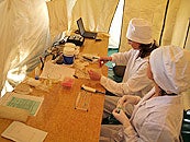 El Instituto de Investigación Antipeste de Siberia desempeña diversas funciones