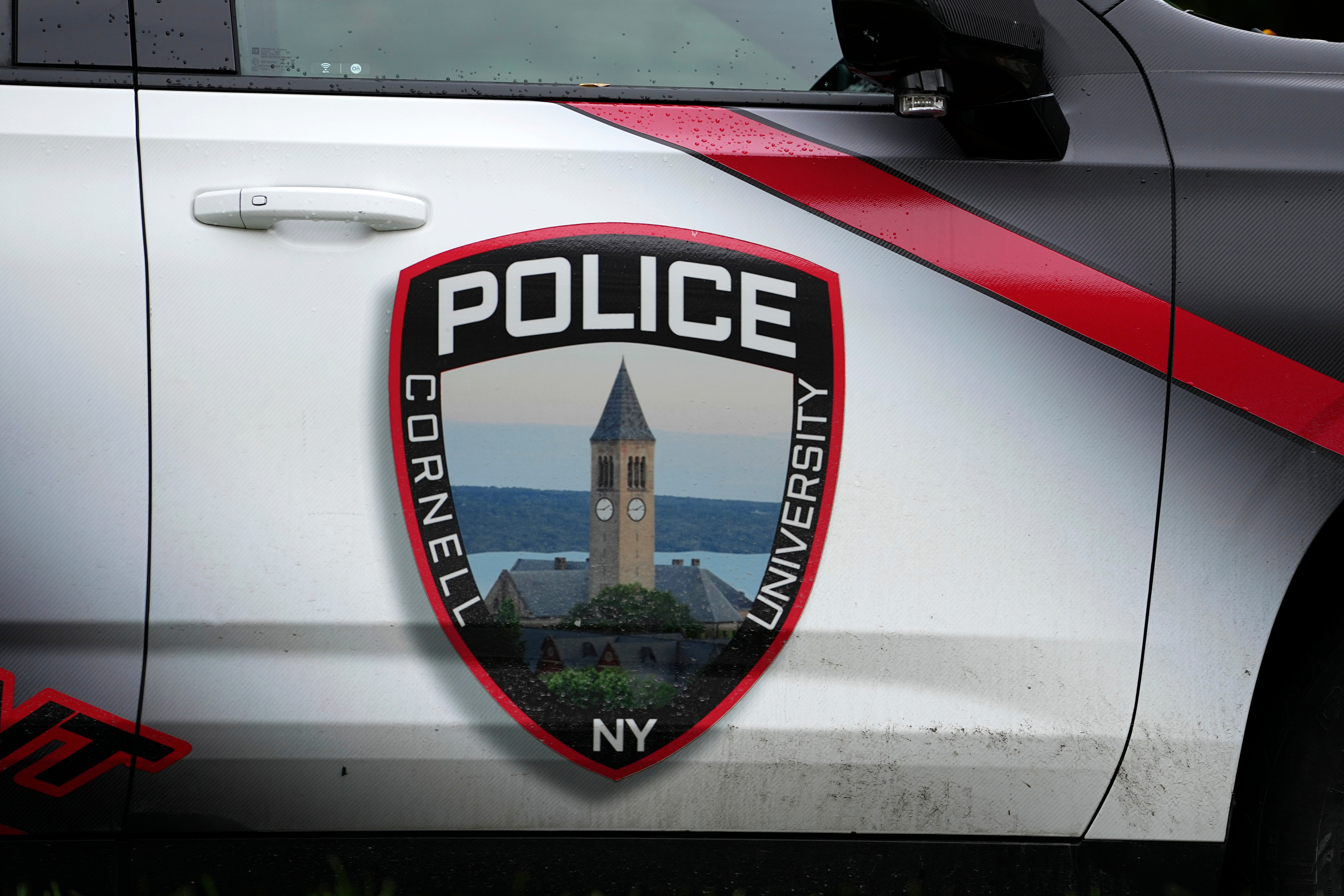 CORNELL VIOLACION INVESTIGACION