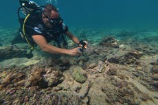 Aumenta el interés por las ruinas submarinas de Tiro tras la guerra entre Israel y Hezbollah