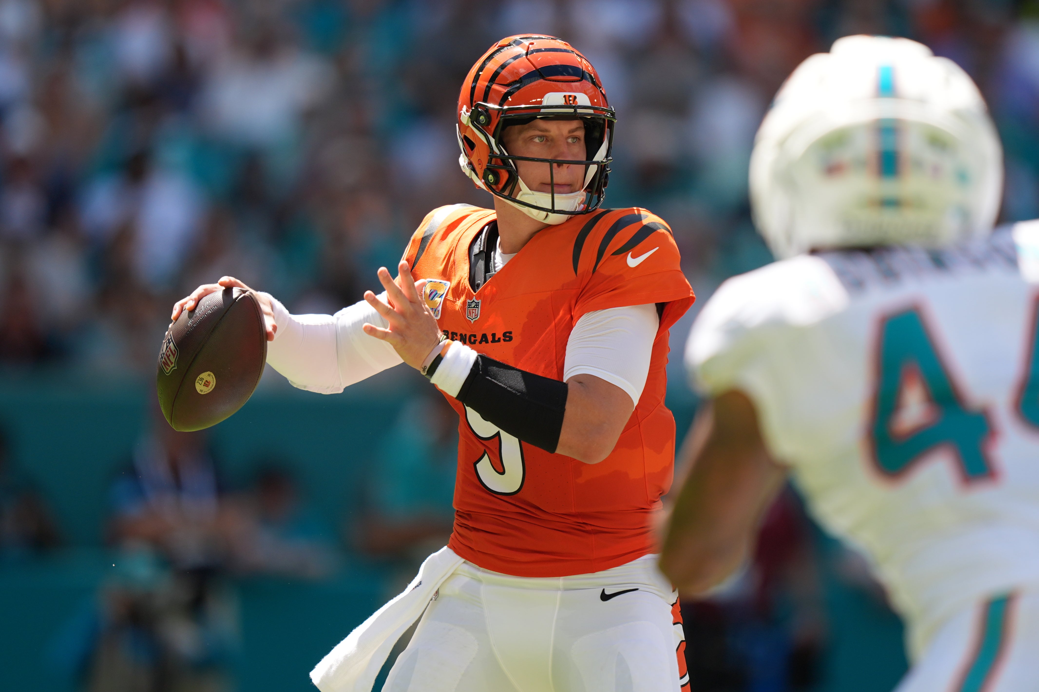 BENGALS-DOLPHINS
