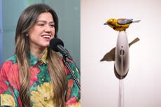 Kelly Clarkson se está peleando con una tienda por un pájaro autómata de $15.000
